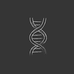 Image showing DNA. Drawn in chalk icon.