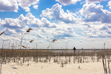 Image showing Landscape with a cloudy sky and reed sandy beach