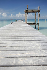 Image showing Tropical Boardwalk