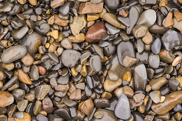 Image showing Background texture of wet sea pebbles of medium size