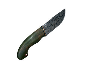 Image showing knife with a wooden handle green