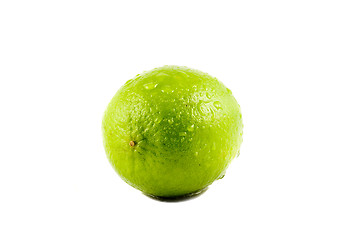 Image showing A Lime fruit with water drops isolated on white background