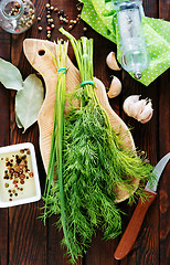 Image showing fresh dill