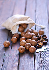 Image showing macadamia