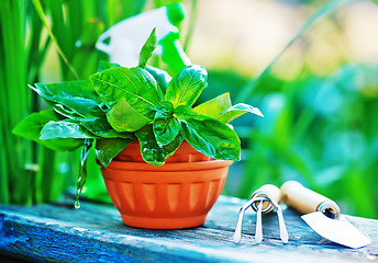 Image showing gardening utensil