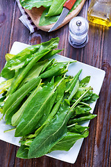 Image showing fresh sorrel