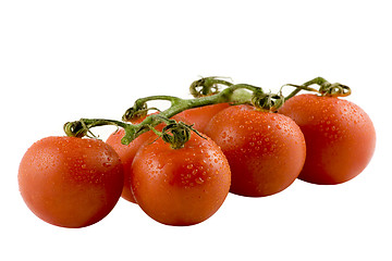 Image showing Six fresh tomatos isolated on white background