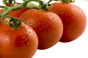 Image showing Red tomatos isolated on white, selective focus