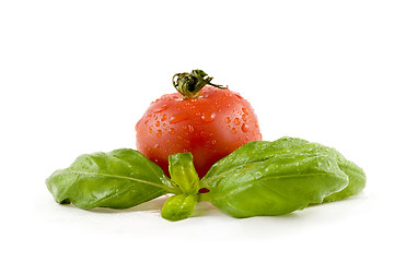 Image showing Tomato with basil isolated on white background