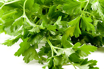 Image showing Close up picture of some fresh green parsley