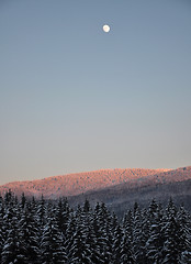 Image showing Moonrise in winter scenery