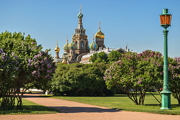 Image showing Saviour on Spilled Blood.