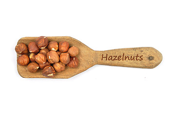 Image showing Hazelnuts on shovel