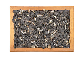 Image showing Bird seed in frame