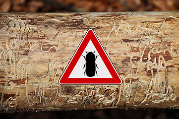 Image showing Bark-beetle attention sign