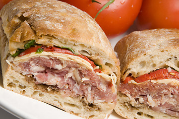 Image showing gourmet sandwich on ciabatta bread