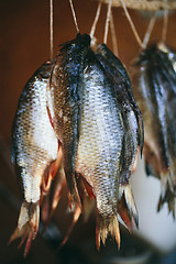 Image showing dried fish hanging on a rope