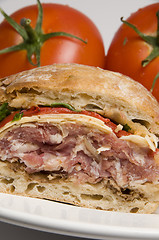 Image showing gourmet sandwich on ciabatta bread