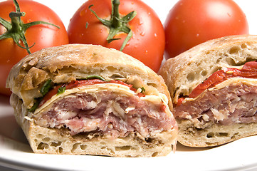 Image showing gourmet sandwich on ciabatta bread