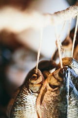 Image showing dried fish hanging on a rope