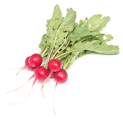 Image showing radish on white