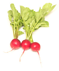 Image showing radish on white