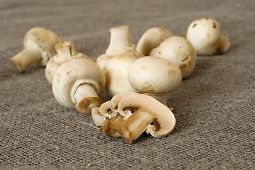 Image showing table mushrooms