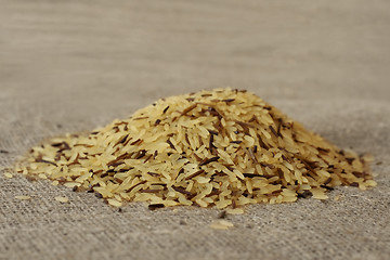 Image showing wild rice grains