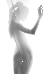 Image showing Silhouette of young sexy woman on white background. 