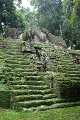 Image showing Tropical maya stairs