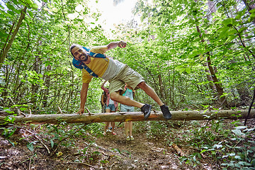 Image showing group of smiling friends with backpacks hiking