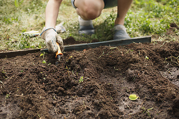 Image showing woman in gloves working in the garden