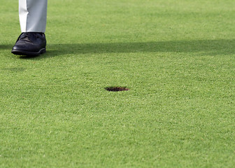 Image showing Golf Player on a Green