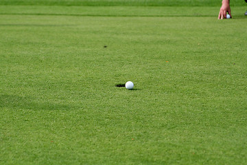 Image showing Golf Player