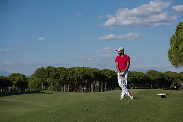 Image showing handsome middle eastern golf player portrait at course