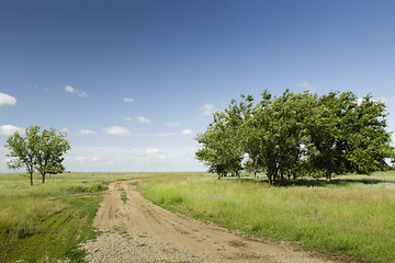 Image showing the path receding into the distance near the trees