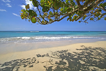 Image showing Beach Scene