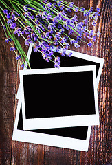 Image showing lavender