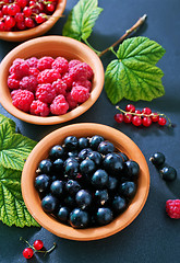 Image showing berries