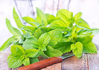 Image showing fresh mint