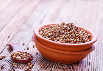 Image showing coriander