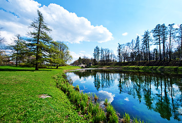 Image showing spring park