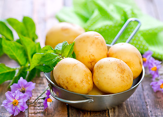 Image showing raw potato