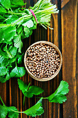 Image showing coriander