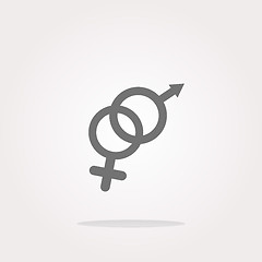 Image showing vector icon web button with male female symbol