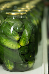 Image showing gurtsov conservation. Fresh cucumbers in jars