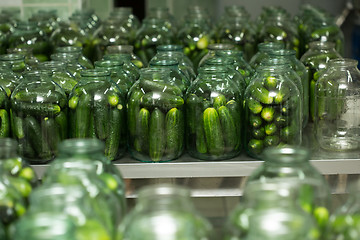 Image showing gurtsov conservation. Fresh cucumbers in jars