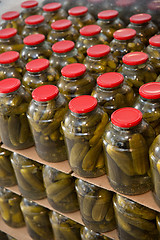 Image showing gurtsov conservation. Fresh cucumbers in jars