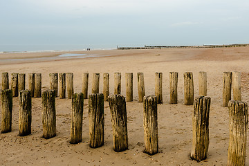 Image showing Breakwaters on the beach at sunset