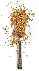 Image showing heap of mustard seeds